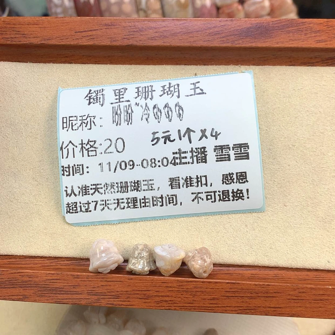 【闪购商品】颈饰未镶嵌硅化珊瑚（珊瑚玉）盼****?