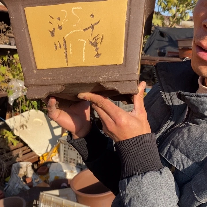 花盆紫砂紫砂特价包邮送