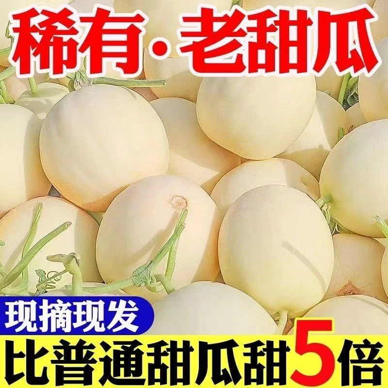 超甜头茬现摘阎良甜瓜小香瓜冰激凌蜜瓜新鲜应季孕妇水果整箱包邮