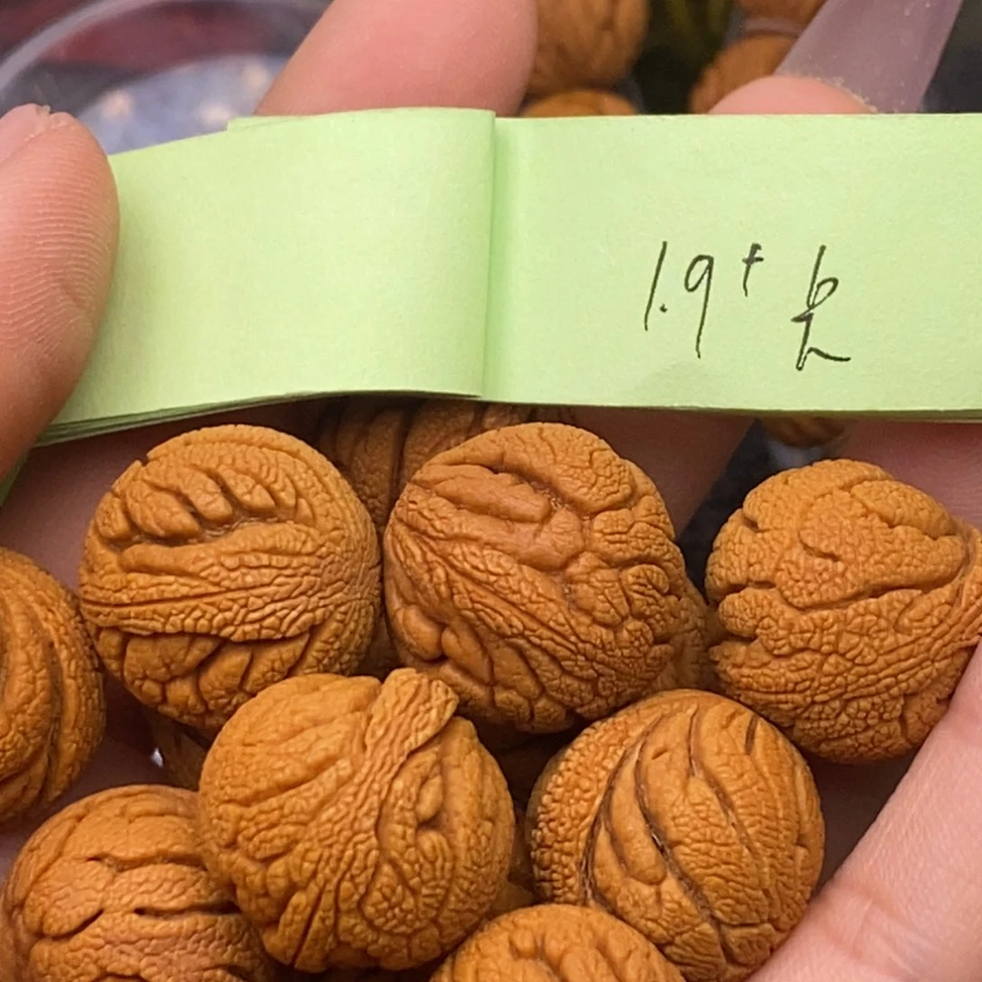 秦岭山脉龙纹桃核 14