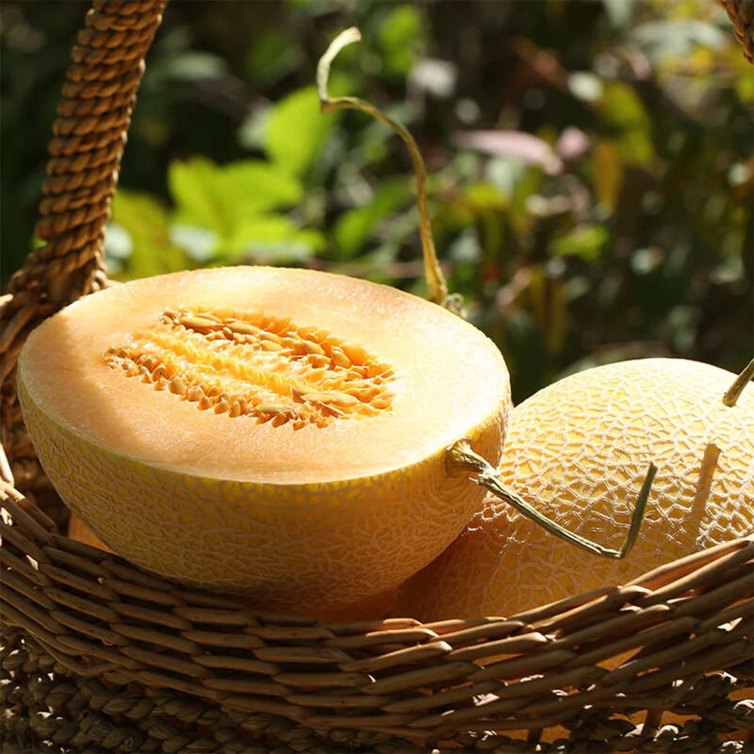 至爱蜜瓜 新疆特产生鲜瓜果水果顺丰/京东空运发货