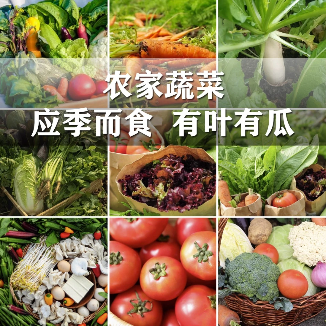 贵州农户蔬菜现收