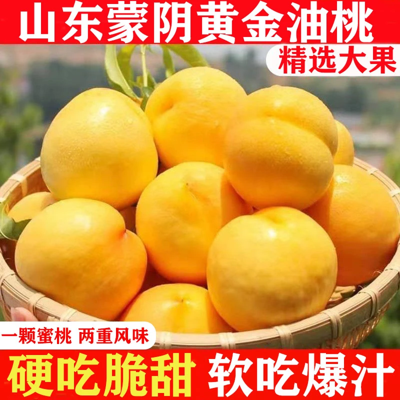 【4条龙专属】蒙阴黄金油桃4.5斤彩箱装爽口多汁顺丰包邮-4条龙