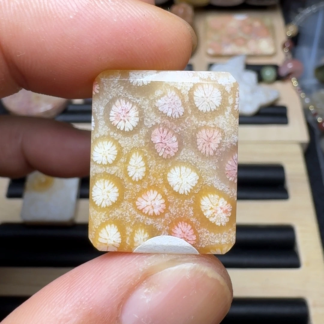 未镶嵌纯天然色有机玉石保真色硅化玉