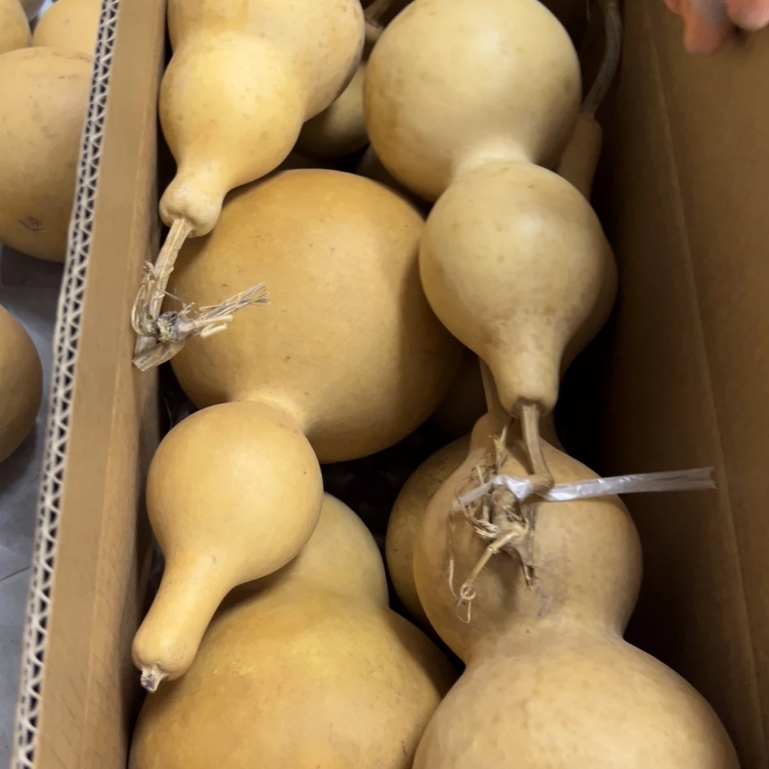 皇****有机玻璃葫芦葫芦