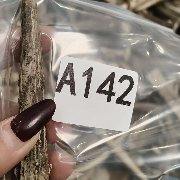 王***昱鹿角鹿角鹿角鹿角鹿角鹿角