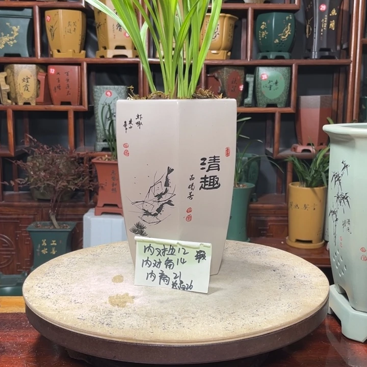 海*洋关注陶霸廊精品紫砂