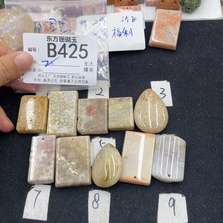 硅化珊瑚（珊瑚玉）颈饰合金日**光