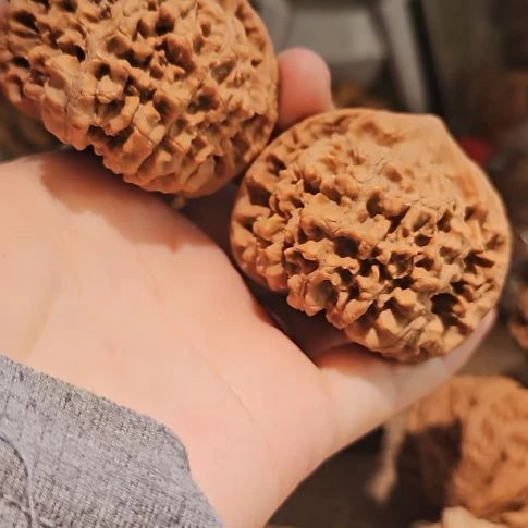 文玩核桃吊坠51龙鼎管