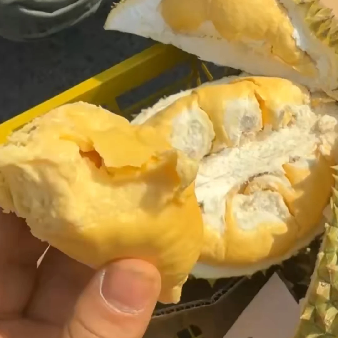 空运树熟Ri6鲜榴莲猫山王嫁接品种核大2-5斤Ri6