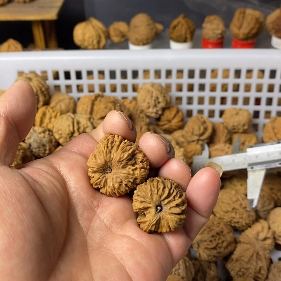 污***～大叶紫檀（黑酸枝木类）