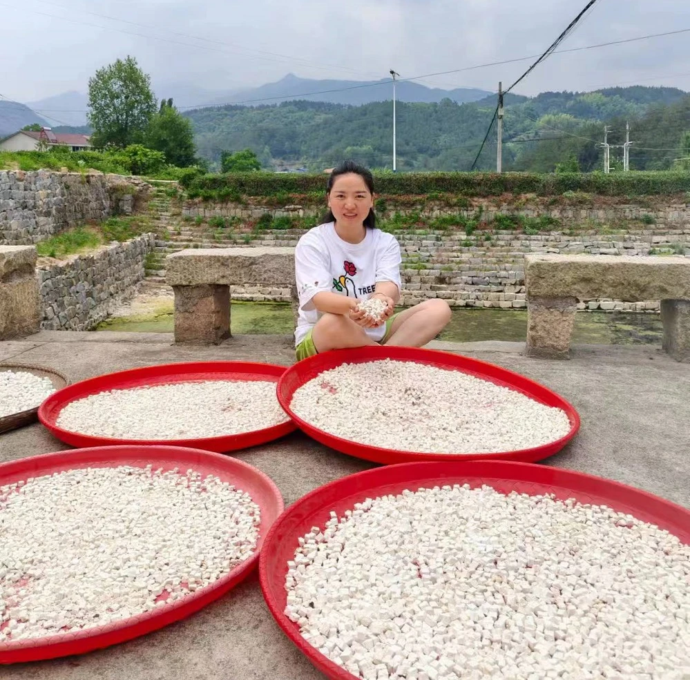 [大别山茯苓] 霍山无硫 生切 手工挑选 500克/袋 - 野外自然生长