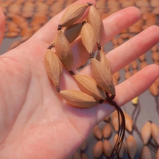 1.1小柳叶手持10粒