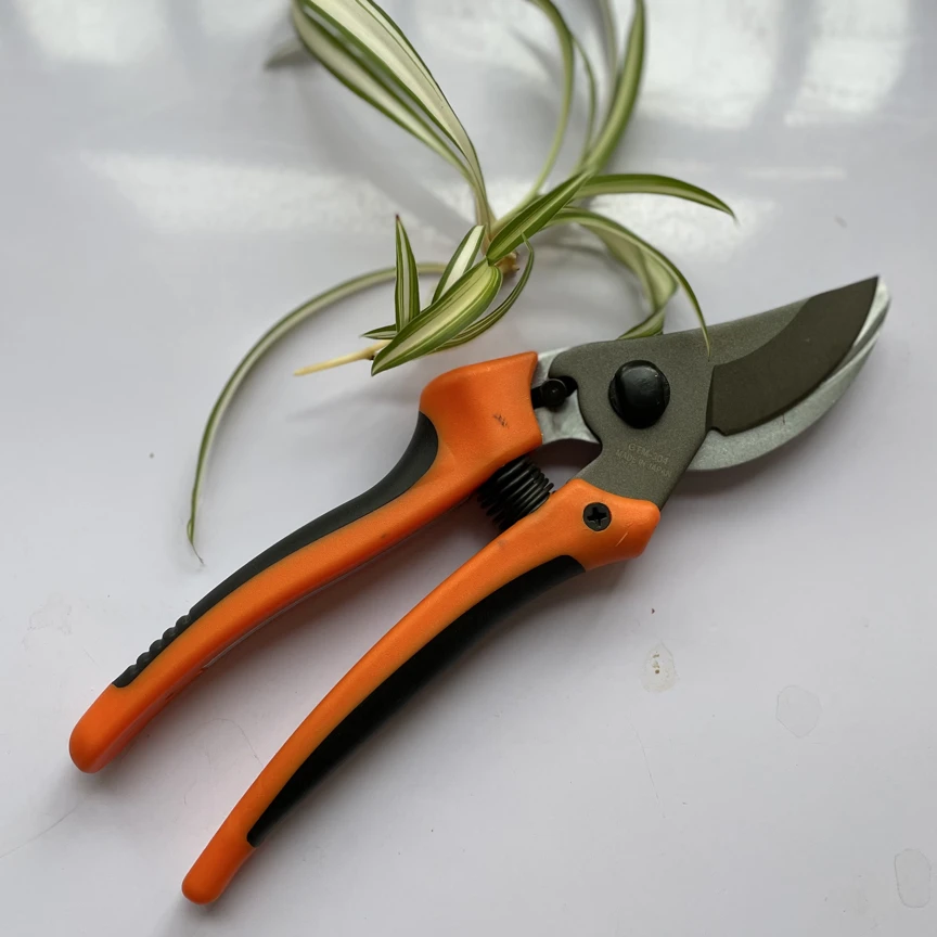 爱丽丝德纳利，省力修枝剪修花剪子剪枝