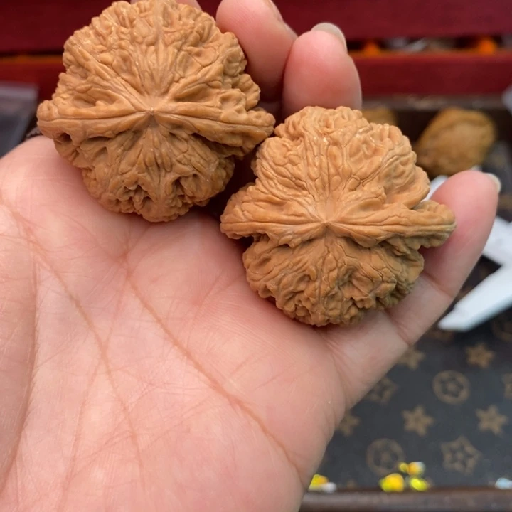 郝***才核桃大粗筋42尺核桃