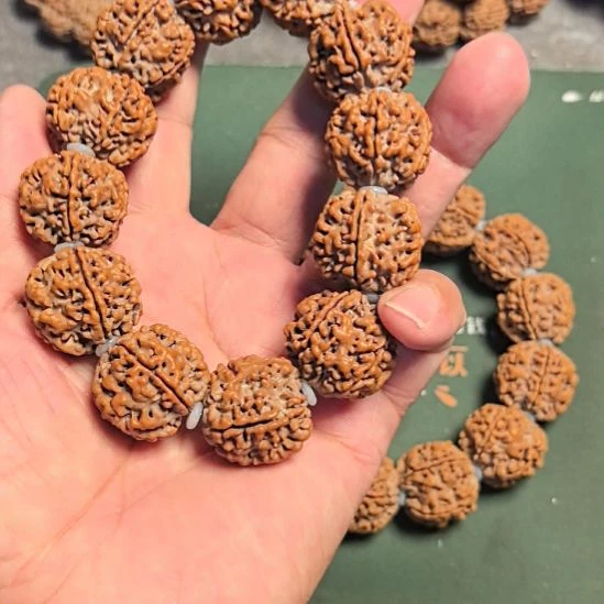 金刚菩提手串原生态的大金刚手串，24左右尺寸