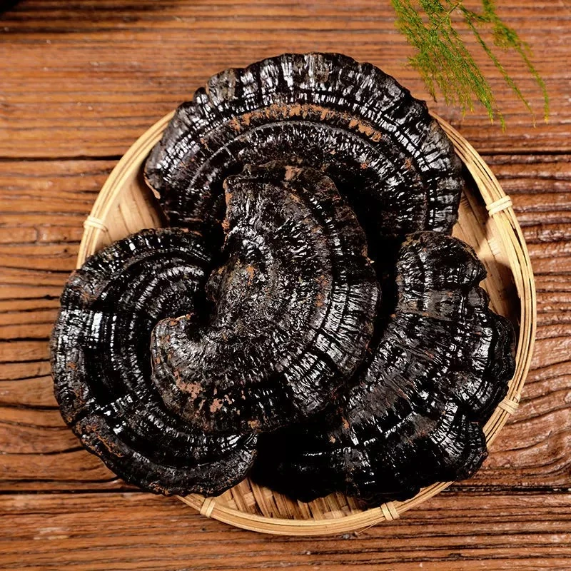 长白山干灵芝泡酒泡水