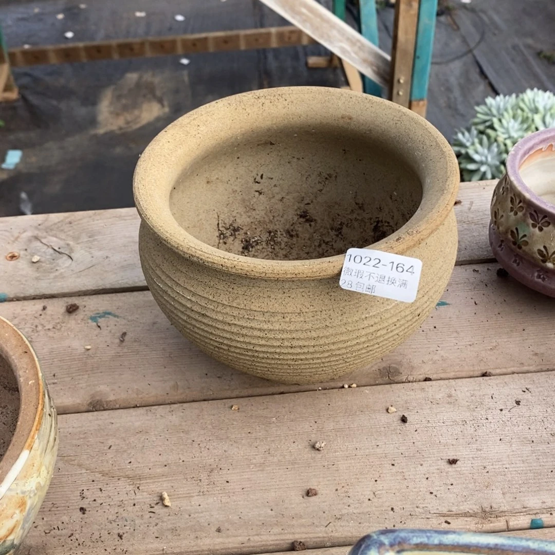 164号多肉盆口径12