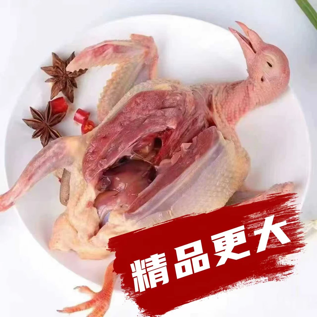 【买4送1】精品农家散养土鸽子新鲜现杀带心肝急冻锁鲜到手五只