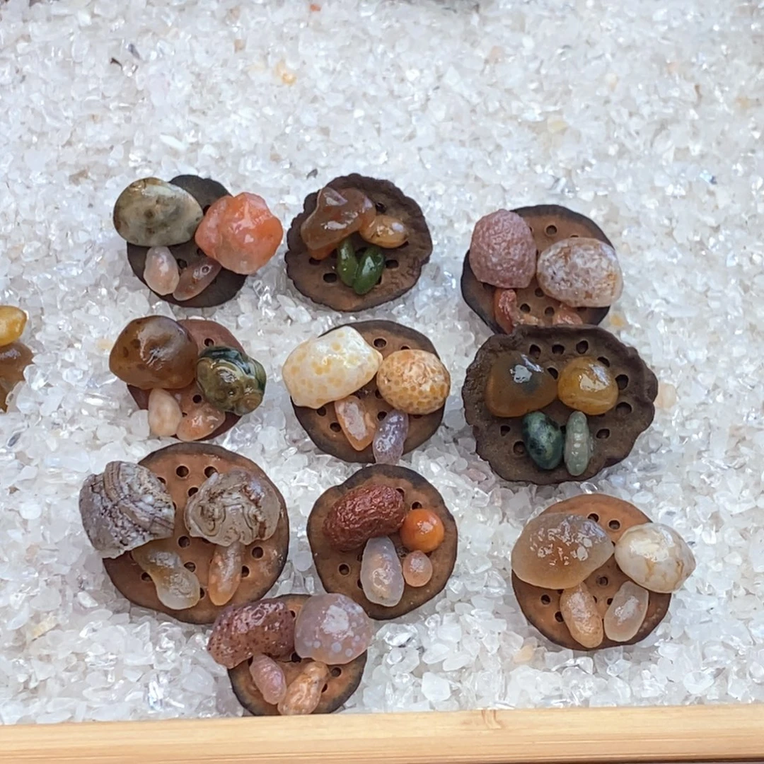 木石院子莲蓬蘑菇