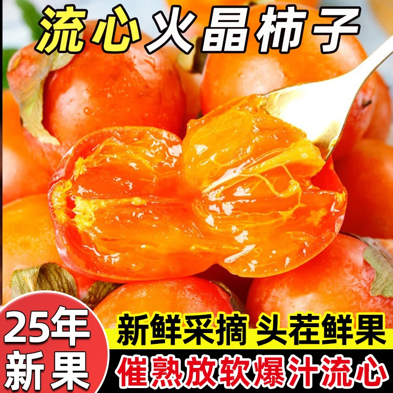 【新品上市】新鲜火晶柿子 现摘软柿子 当季热卖水果 催熟放软后吃