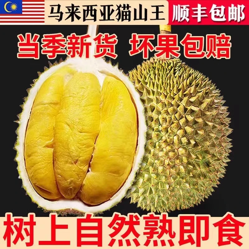 保5房正宗猫山王榴莲D197树熟AA果马来西亚进口液氮冷冻2.5-20斤