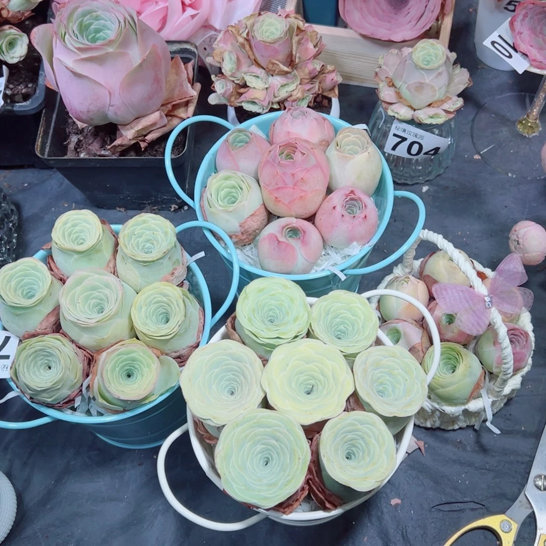 小***家小鱼精选玫瑰桶3➕小白篮组合