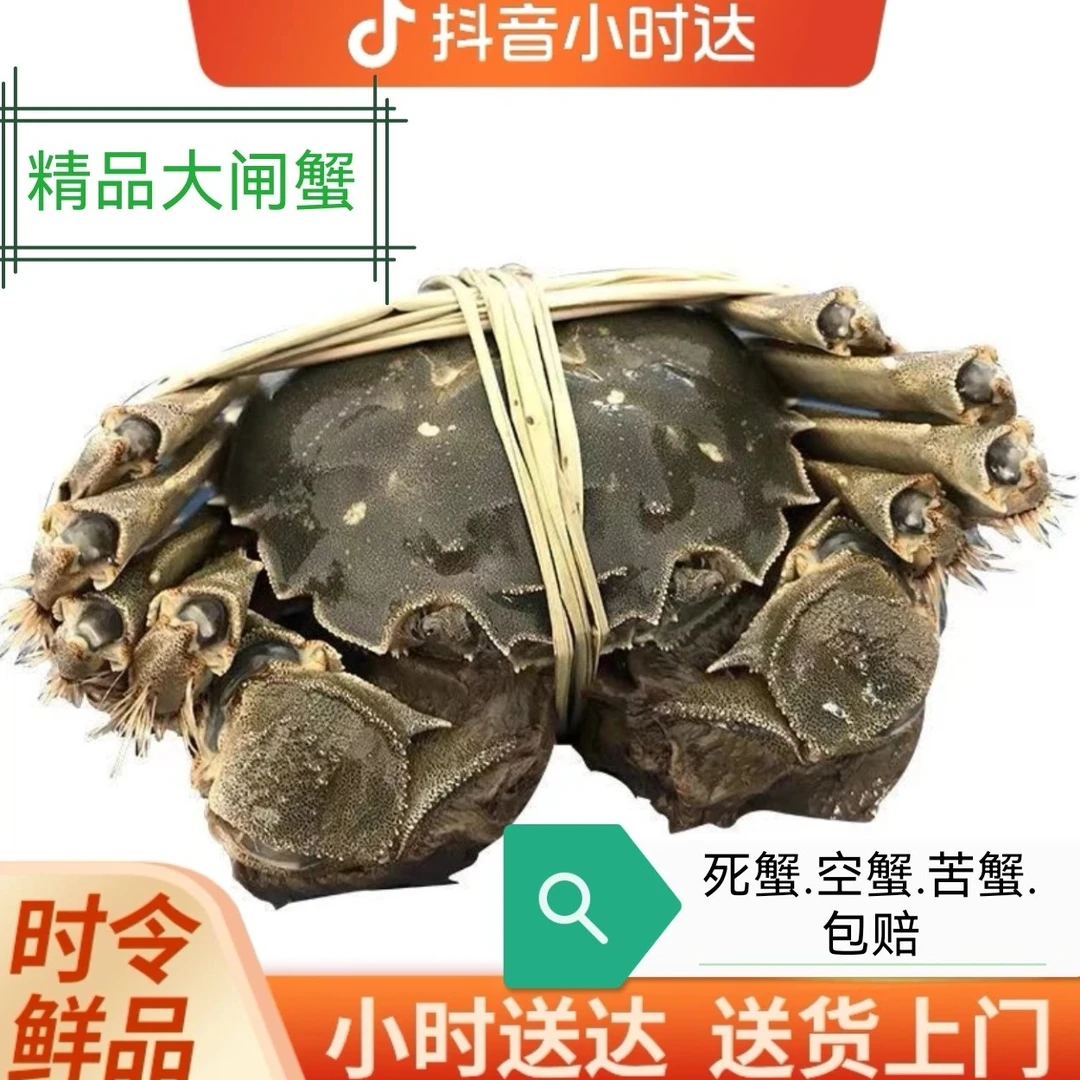 精品公蟹2.5两1只（鲜活大闸蟹）