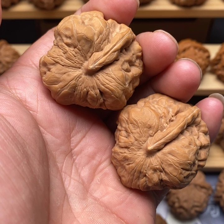 文玩核桃把件蛤蟆一根筋