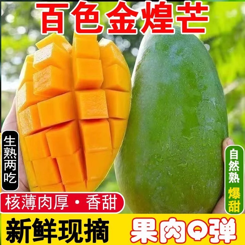 JC1【百色金煌芒】10斤装正宗广西百色大青芒软糯香现货（催熟食用）
