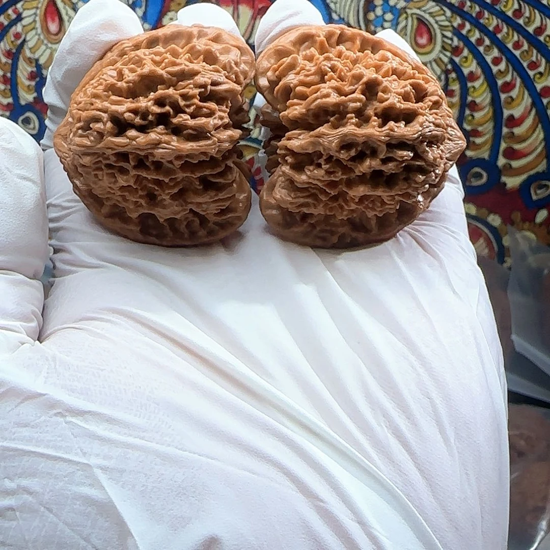 文玩核桃把件满天星44