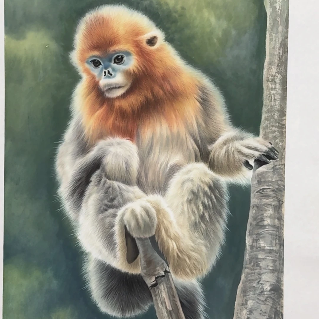 国画H***青Mnbbbbbb Bbbbbbn