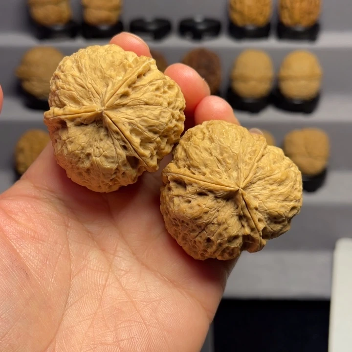 司***葛文玩核桃把件龙爪三棱