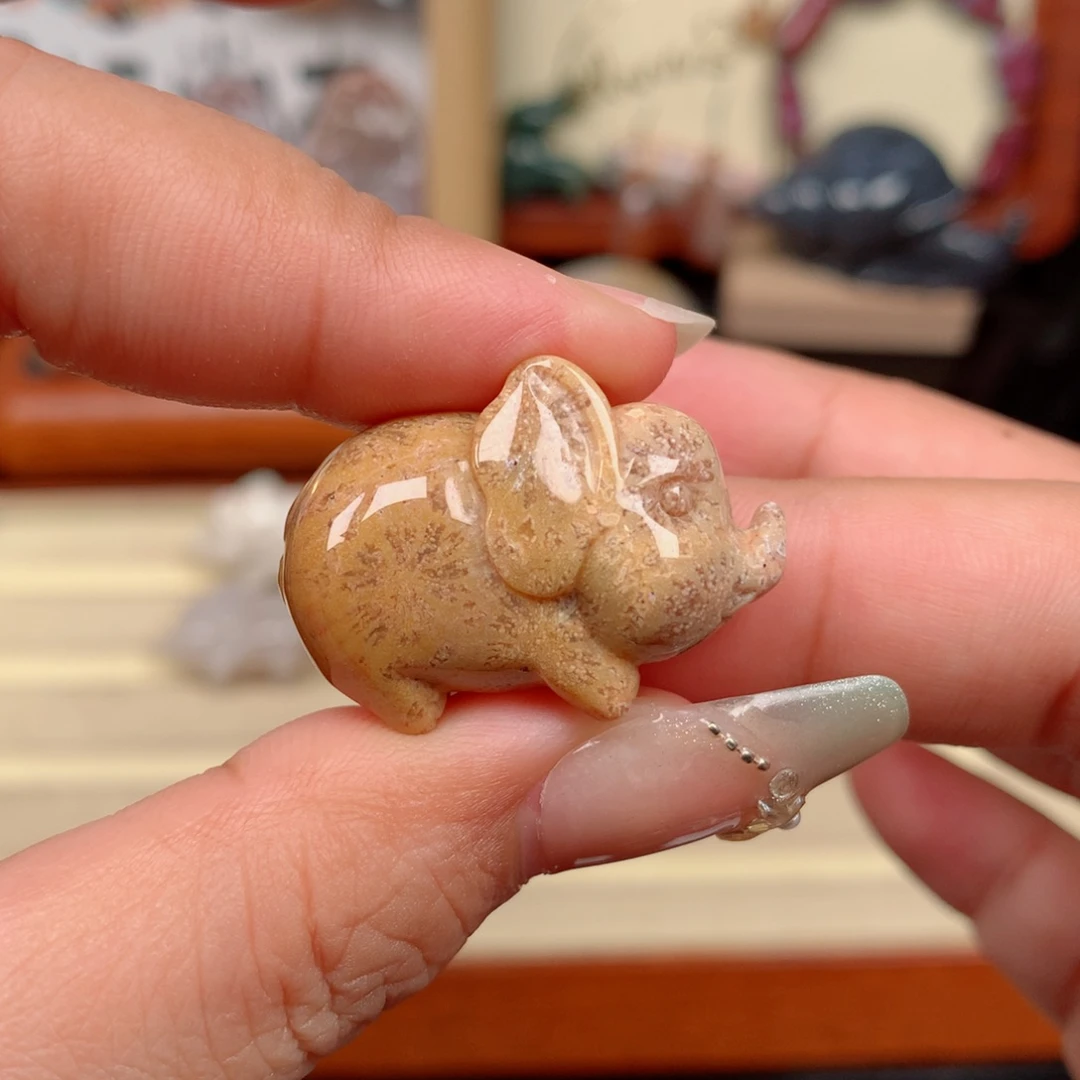 硅化玉未镶嵌颈饰