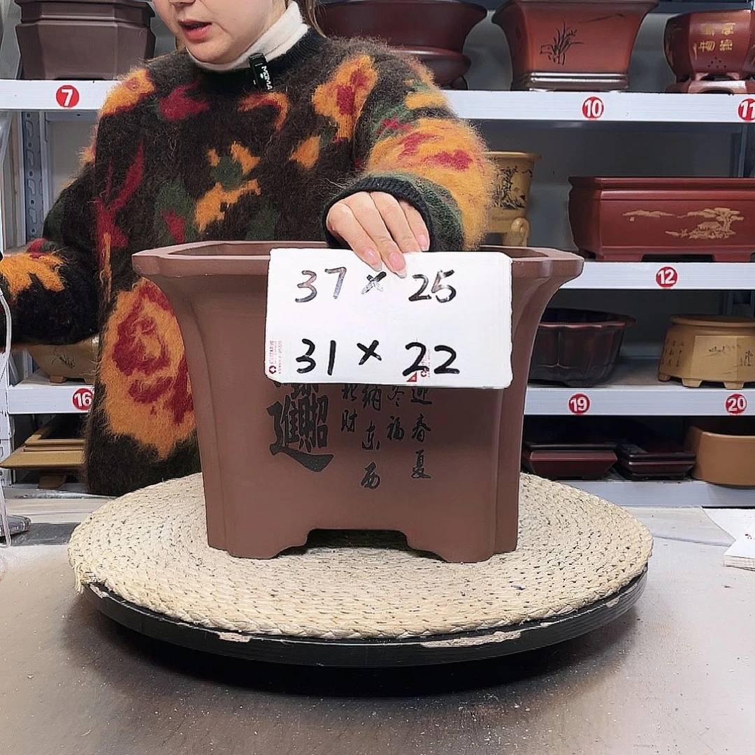 花盆紫砂紫砂花盆里