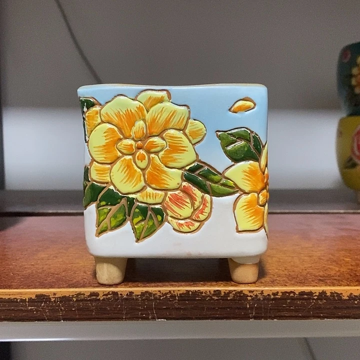 韩式多肉植物花盆