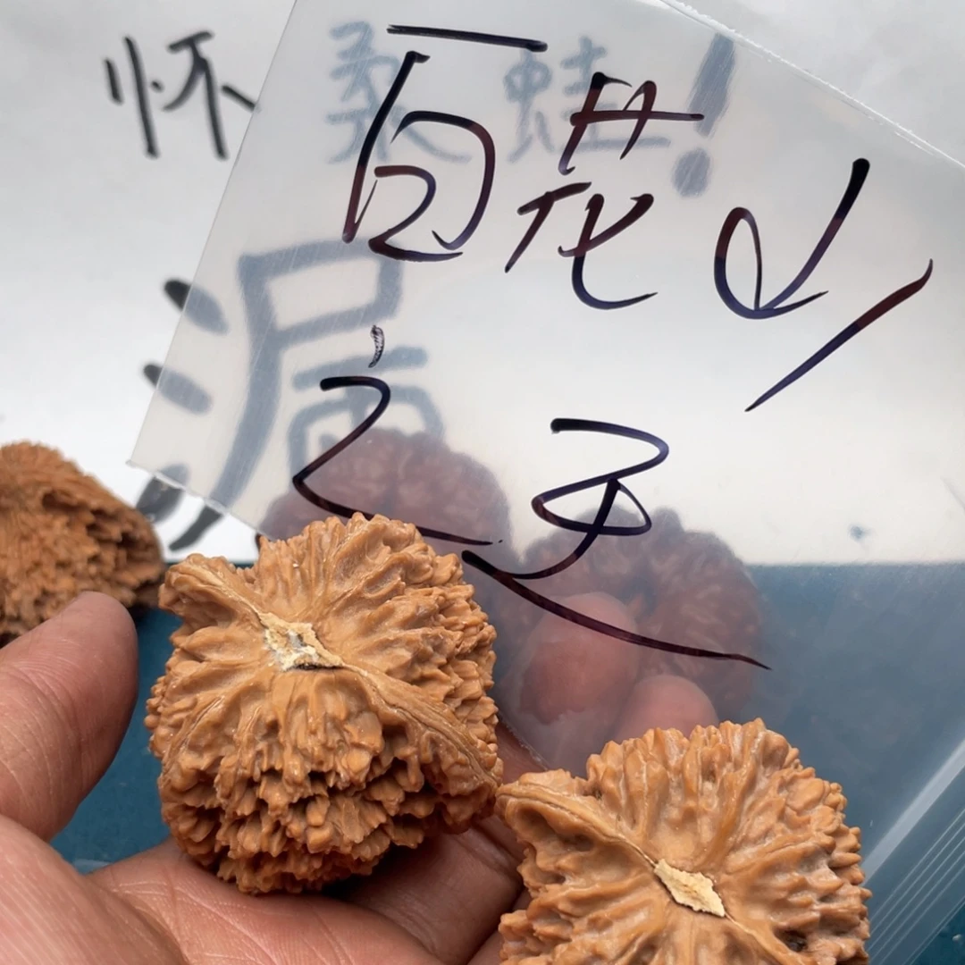 端***纸核桃357375735753357375657
