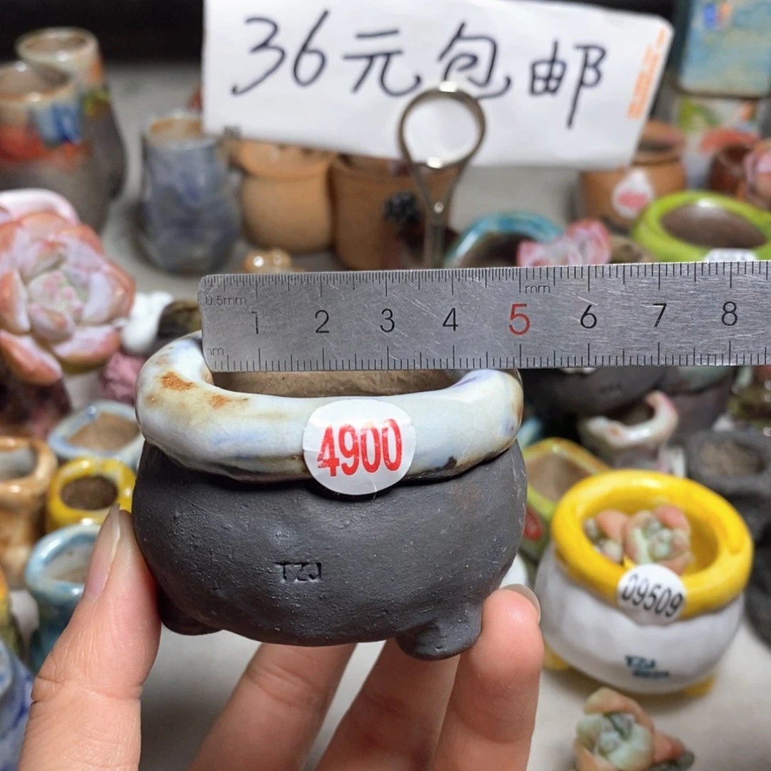 拍3送一个小礼物