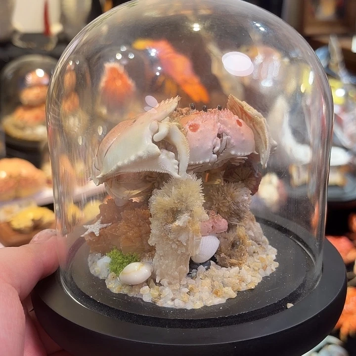 真实逍遥馒头一家三口