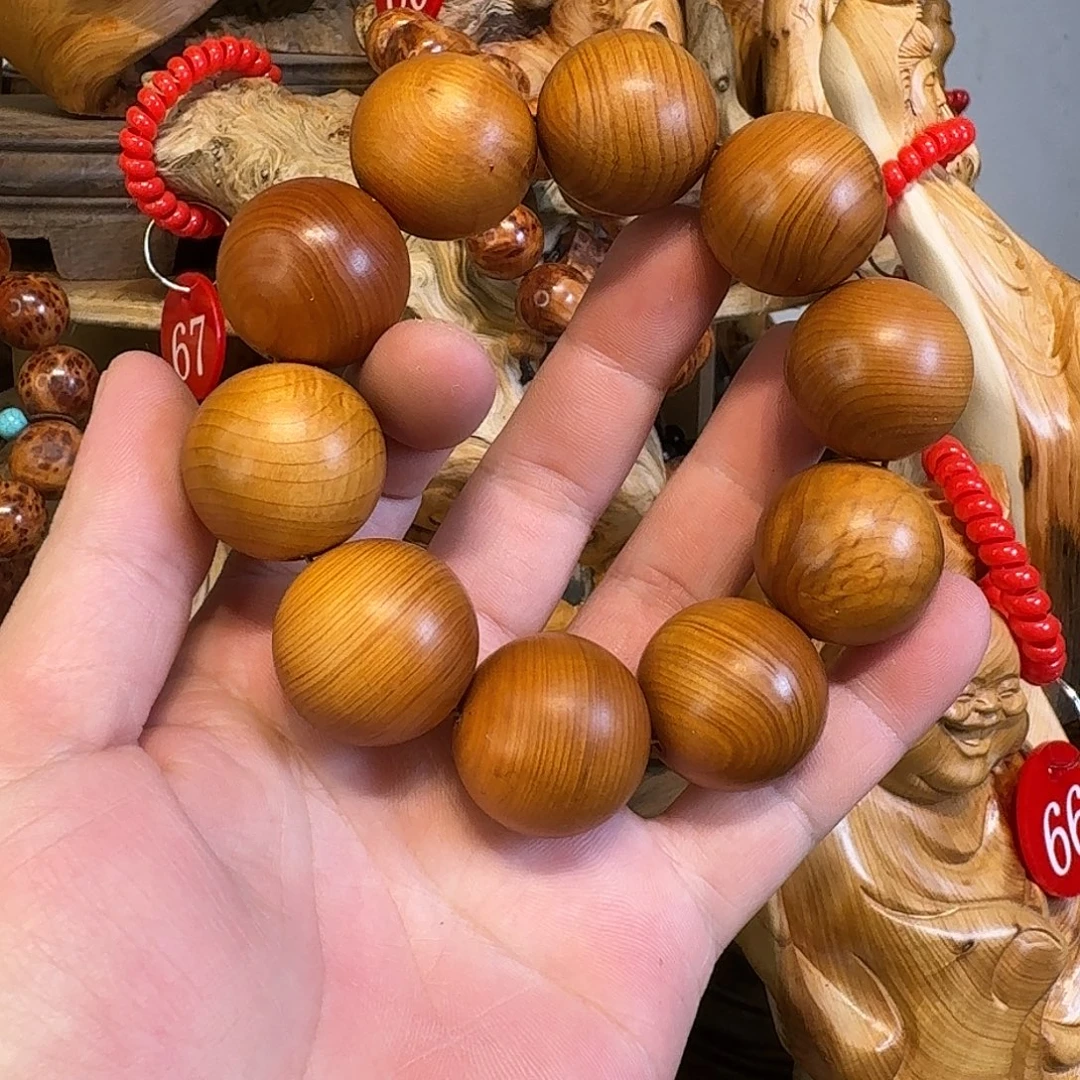 柏木（崖柏）111111111111