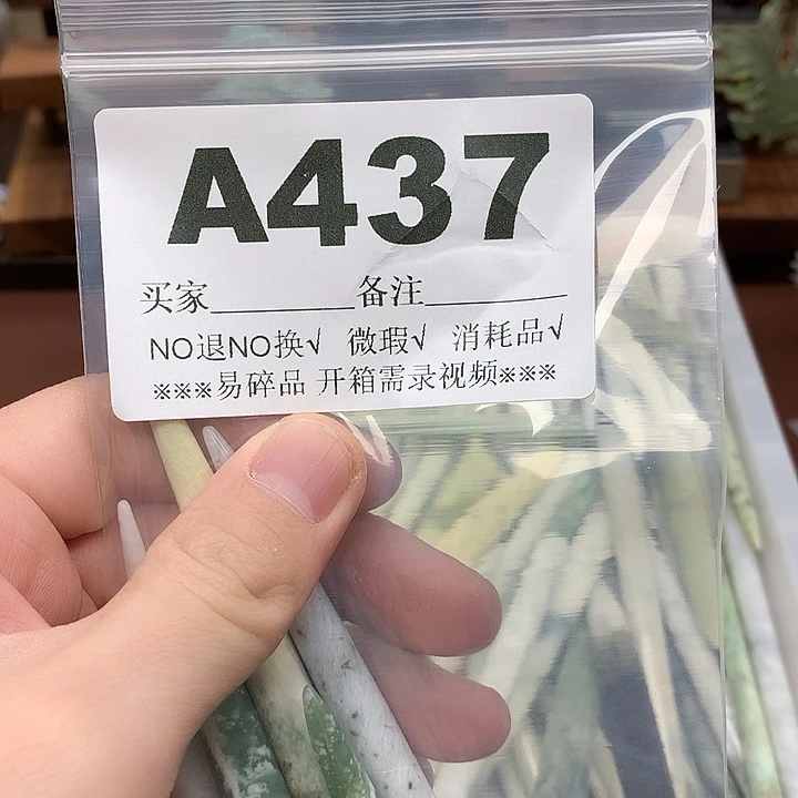 蛇纹石玉发饰合金渺*