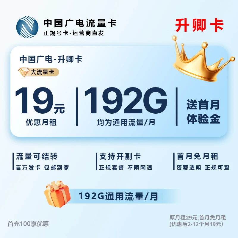 中国广电流量卡19元官方办理广电卡19元流量卡官方正品L1N
