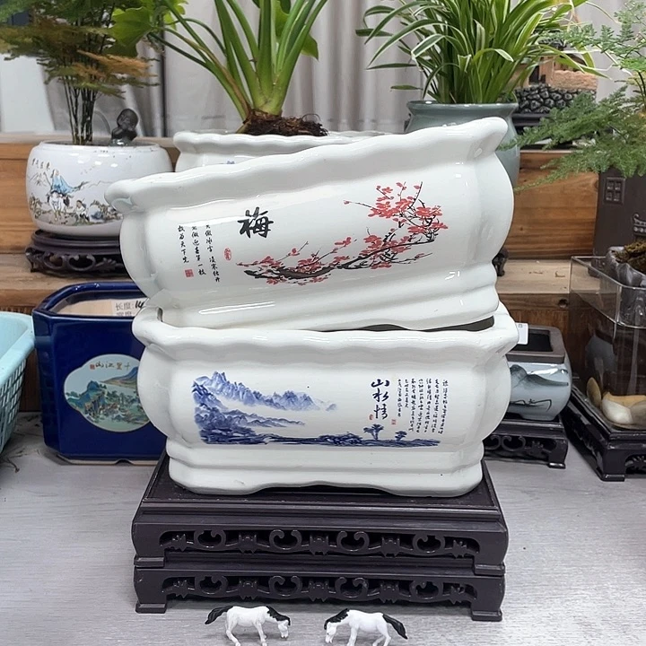 晚场花盆福利炸起来