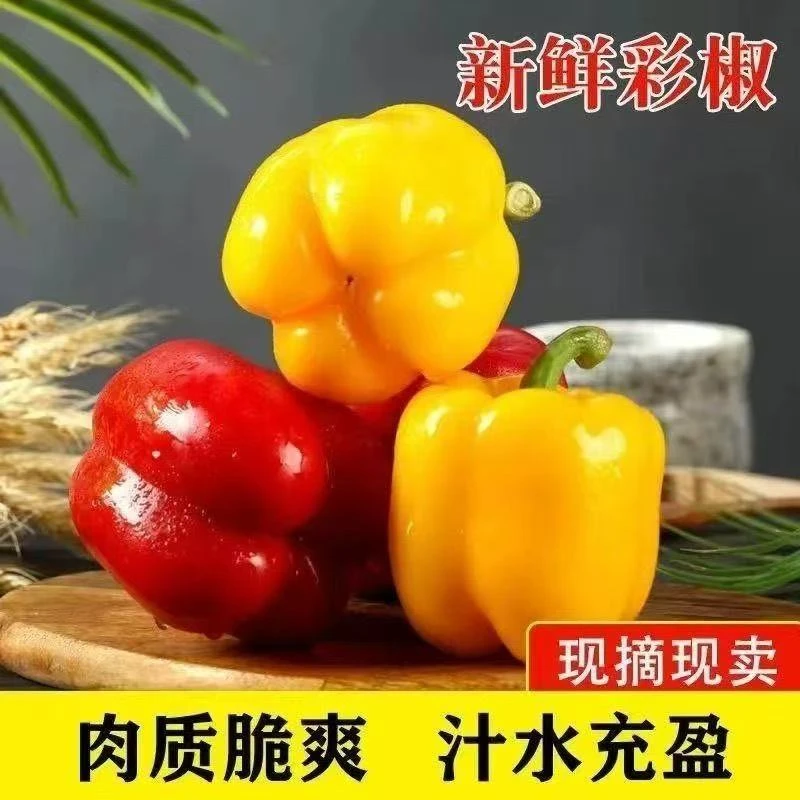 【寿光彩椒 产地直发】五彩椒寿光高品质新鲜五彩椒生吃不辣椒菜椒