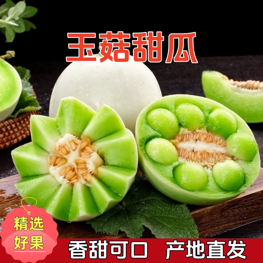 【赠挖球勺】头茬山东玉菇甜瓜新鲜当季软糯香甜4.5斤