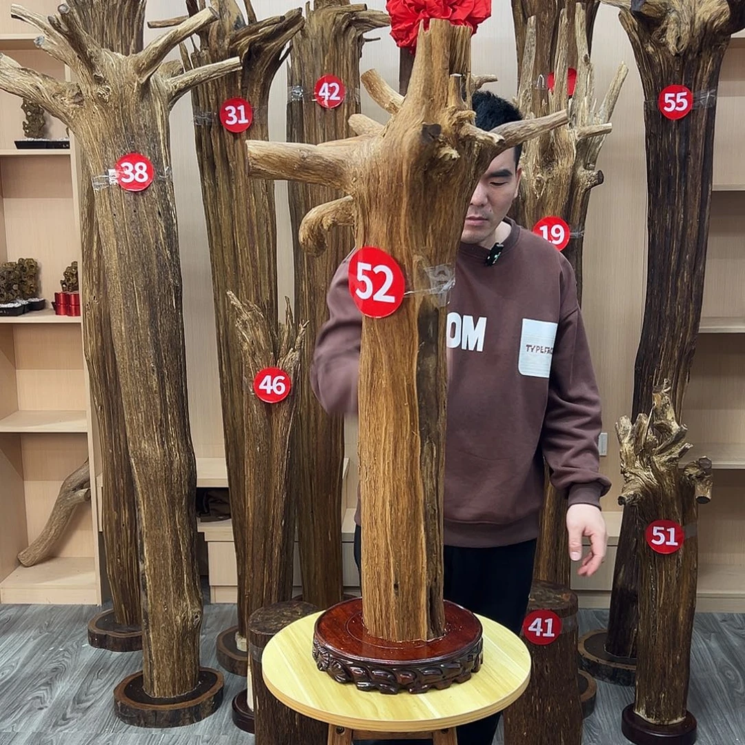 沉香碎屑沉香沉香