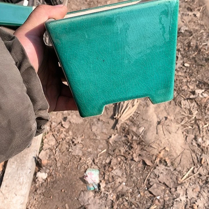 紫砂哈哈真的超级可爱哈哈哈哈哈、