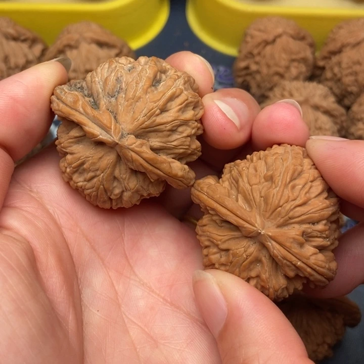 @***哥手串/手链核桃白狮子