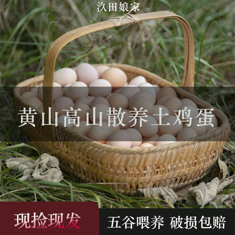 【现捡现发】汣田娘家新鲜土鸡蛋农家深山散养京东60枚破损包赔