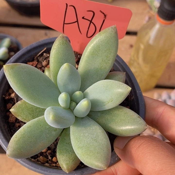 在家闲不住也可以轻松